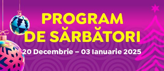 Program de sărbători